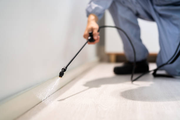 Licensed Termite Control service in Washington Park, FL - Nex Pest Control