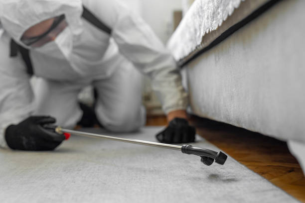 Professional Termite Control technician working in Washington Park, FL
