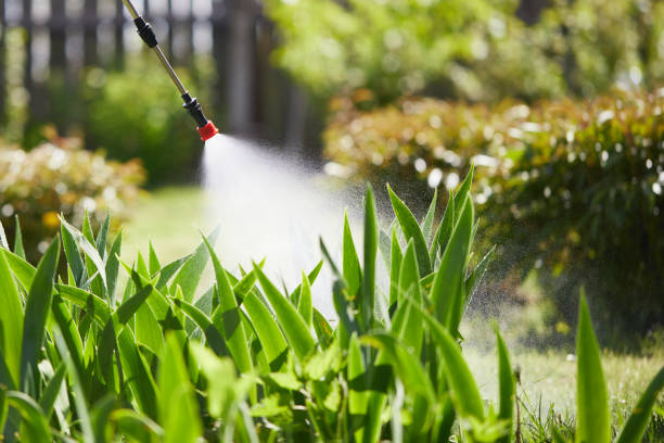 24/7 Emergency Termite Control experts in Washington Park, FL