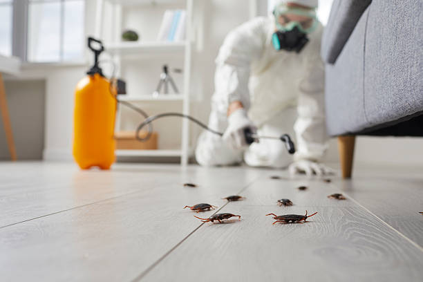 Affordable Termite Control solutions in Washington Park, FL