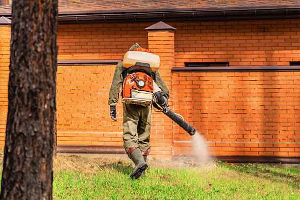 Top rated local Termite Control specialists in Washington Park, FL